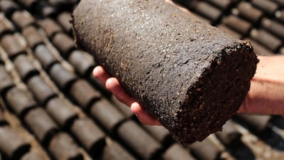 The green cakes are environmentally friendly. Muhammad Shehada / The National