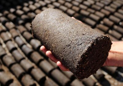 The green cakes are environmentally friendly. Muhammad Shehada / The National