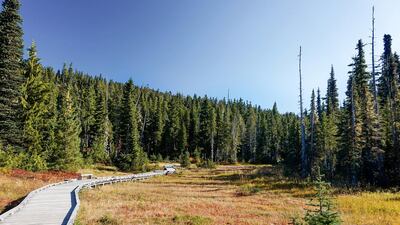 14. Courtenay, in British Columbia, Canada, has seen a 114 per cent increase in Airbnb bookings thanks to its growing reputation as an outdoor adventure destination. Courtesy Airbnb