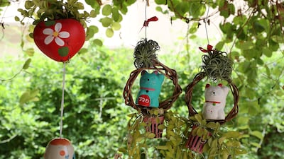 They have planted many trees in their garden