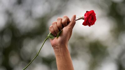 A protester raises her clenched fist while holding a red rose during a protest in Manila, Philippines. AP