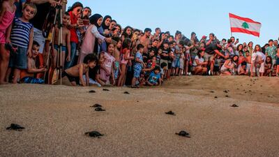Lebanese beachgoers watch turtles hatch at Al Mansouri beach near Lebanon's southern city of Tyre. AFP