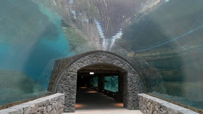 A water tunnel in the Tropical Ocean zone