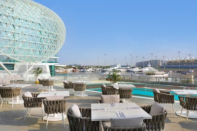 W Abu Dhabi – Yas Island welcomes dogs to select areas of the hotel. Photo: W Abu Dhabi – Yas Island