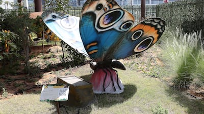 Some of the species visitors can get more information about include the owl butterfly
