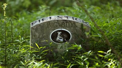 A dog's headstone for 'Big Boy'.