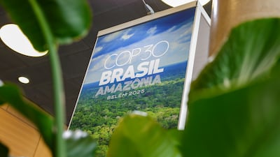 The Brazilian city of Belem will host the Cop climate conference in November. EPA
