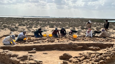 Students from NYUAD take part in excavations on Al Sinniyah Island to explore Umm Al Quwain's pearling past. The Tourism and Archaeology Department of Umm Al Quwain (TAD-UAQ) continues to develop Sinniyah as an educational resource and discover more about the emirate's past.