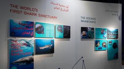 Interior of the Palau Pavilion, Expo 2020 Dubai. Steve Holland/Expo 2020 Dubai