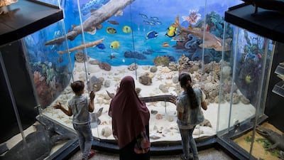 Visitors look at mummified aquatic animals displayed at a museum in Giza, Egypt. EPA