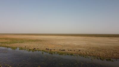 Aerial view of the dry parts of the Marshes in southern Iraq. (Haider Husseini for The National)