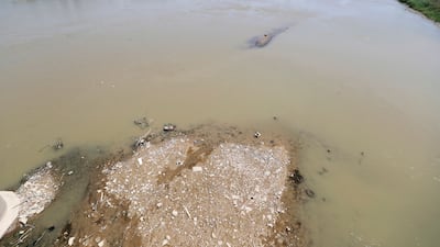 Levels of the Tigris, above, and Euphrates rivers, which account for more than 90 per cent of Iraq's freshwater reserves, have dropped significantly. AFP