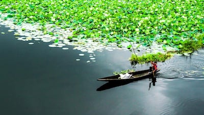Solitary Journey in Nagin Lake was shot by Ranu Jain in Srinagar in 2014. Courtesy of the artist and GPP