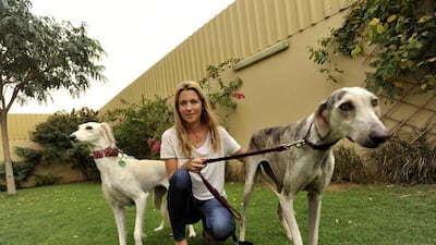 Trine Lund Peterson, of the Arabian Saluki Center of Dubai, with two of the dogs that will be flown to San Francisco, Abyad, left and Houston, right. Charles Crowell for The National