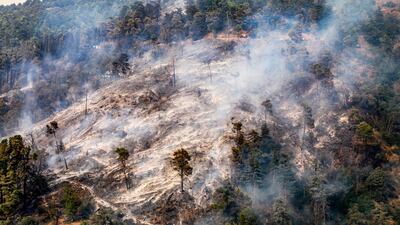 A fire burns at Chrea National Park in the south of Algeria's Blida province. AFP