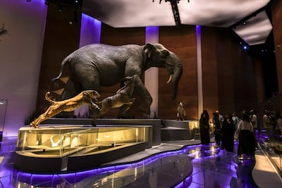 A section dedicated to prehistoric life in Abu Dhabi. Victor Besa / The National
