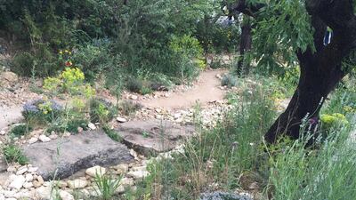 ‘Weeds’ in James Basson’s L’Occitane Garden. Photo by Melanie Hunt