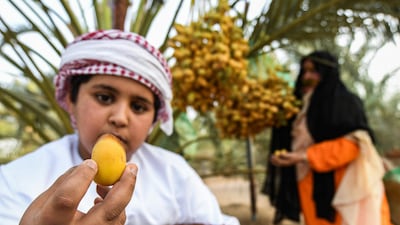 An Emirati boy holds up a freshly-picked date during the annual Liwa Date Festival. Karim Sahib / AFP