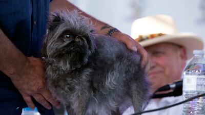 Monkey turns to face an adoring public. AP