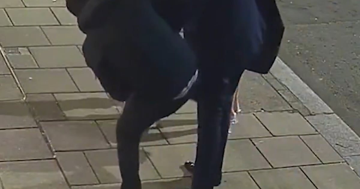 'Rolex Ripper' gang caught 10 minutes after stealing £18,000 watch from victim's wrist