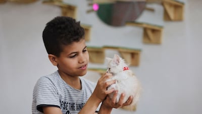 Owner Mabed described feline communion as a 'global anti-depressant'. AFP