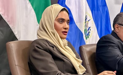 The UAE's commercial attache to the US boasted of the country's AI plans and ongoing partnerships with the US.