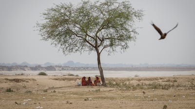 Women rests under tree in Ballia District of Uttar Pradesh, India. Reuters