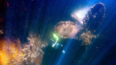 A snorkler identifies species growing on the hull of a ship during a marine biology survey in the Indian Ocean in False Bay, Cape Town. EPA