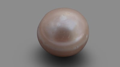 The oldest natural pearl in the world is less than a centimetre long. Courtesy Department of Culture and Tourism Abu Dhabi