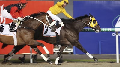 27/03/10 - Dubai, UAE - Jockey Garrett Gomez rides Kinsale King (USA) , #7, to victory in the Dubai Golden Shaheen at Meydan Racecourse. ( Andrew Henderson / The National )