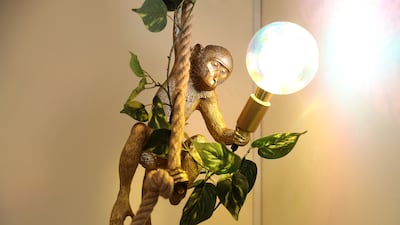 A novel monkey light in the apartment, which is a five-minute walk away from a park