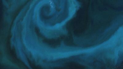 What begins with E? Earth, of course. Evaporation and the exosphere. Egypt and Eyjafjallajökull. Eskers, erratics, El Niño, and EO-1. This ephemeral entourage of algae off the east coast of an island where English is spoken! On October 25, 2009, the Moderate Resolution Imaging Spectroradiometer on NASA’s Aqua satellite captured this image of a phytoplankton bloom off the coast of New Zealand. Courtesy NASA