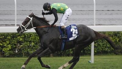 South African horse Variety Club, ridden by Anton Marcus, crosses the finish line to win the Champions Mile at the Sha Tin Racecourse in Hong Kong on May 4, 2014. Vincent Yu / AP Photo