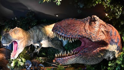 Models of Tyrannosaurus dinosaurs are displayed at the entrance of the Henn-na Hotel. AFP