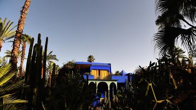 Dense shrubbery is home to many creatures living with the Jardin Majorelle in Marrakech, Morocco. Getty Images