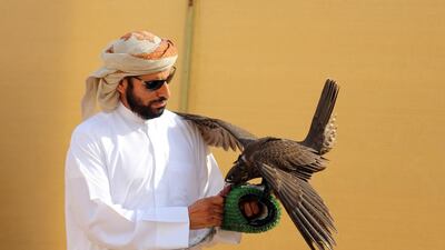 Khalifa bin Mejren’s trained birds won in the Farakh and Jirnas categories (falcons under and over one year) in the Fazza Championships. Courtesy Traccs UAE