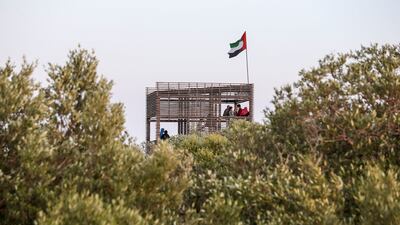 Mangrove forests play an important role in carbon capture. Khushnum Bhandari / The National