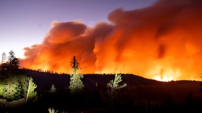 The Caldor Fire in August in Eldorado National Forest, California. AP