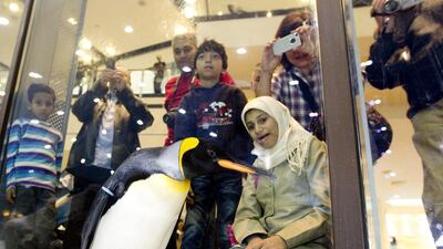 Ski Dubai celebrated this year's World Penguin Day. Sarah Dea / The National