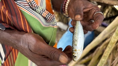 A fisherman shows his catch, a sardine