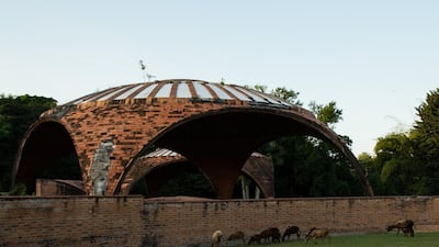 Sheep graze beside the ruins. Photo by India Stoughton