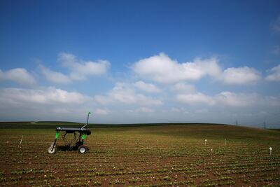 Next-gen robot weeders will likely be more advanced than ecoRobotix version.