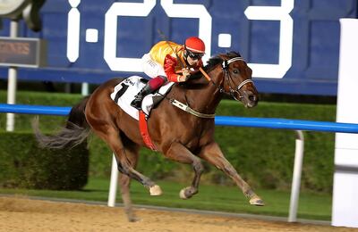 Jockey Antonio Fresu and Antonio Vivaldi - making a debut on dirt in only his third start - on way to victory in Dubai. Pawan Singh / The National
