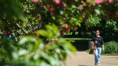 A visitor at St James's Park, London. The British capital is one of the world’s best walking cities. PA Wire