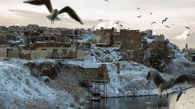 Seagulls fly over the Tigris in Mosul. AFP