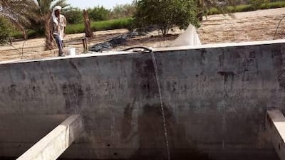 A worker checks the water level at Ajban Farms in Abu Dhabi. An expert has called for a registry that could help slow the depletion of the nation's groundwater.
