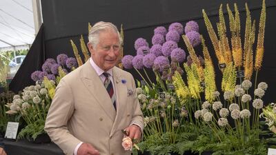 Prince Charles did not speak or attend the enquiry and his lawyer read a statement on his behalf/AFP