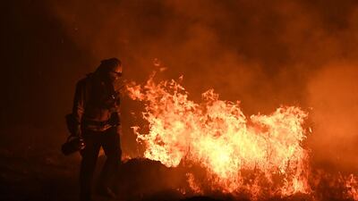 This photo taken on December 9, 2017 shows firefighters lighting backfires as they try to contain the Thomas wildfire in Ojai, California. Mark Ralston / AFP