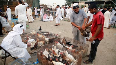 People buy a turkey at a market in Jeddah, Saudi Arabia. AP Photo
