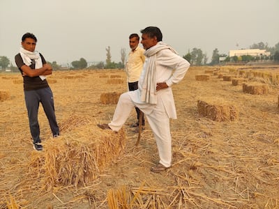 Ramesh Singh started the nontoxic practice three years ago after a decade of using earth scorching methods that he said not only polluted the air but harmed the soil quality. Taniya Dutta for The National
